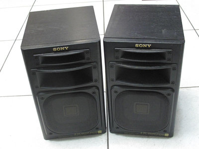 SONY APM 2024 2 BigGo