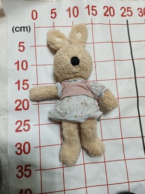 【二手衣櫃】35cm 砂糖兔玩偶 砂糖兔娃娃 兔子玩偶 寶寶玩偶 陪睡娃娃 法國兔 安撫玩偶娃娃 1120929
