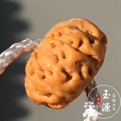 姜黃皮飛碟樁蜂窩五六5瓣樹王樹神小金剛菩提子108顆佛珠手串鏈男