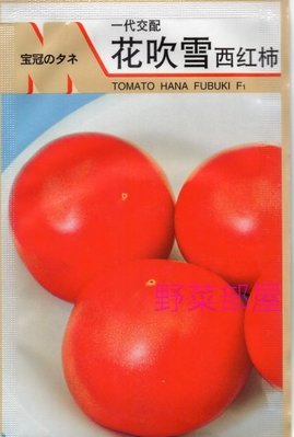 【野菜部屋~】L31 花吹雪蕃茄種子5粒 , 大果 , 極早生品種 , 每包15元~
