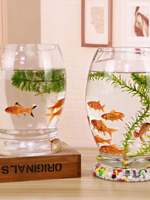 專場:金魚缸圓形客廳辦公桌面小型迷你創意生態水族箱家用水培玻璃魚缸