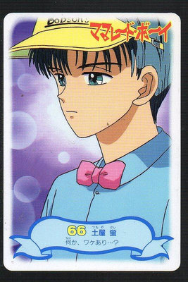 《CardTube卡族》(060930) 66 日本原裝橘子醬男孩 萬變卡∼ 1995年遊戲普卡