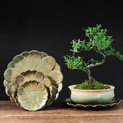 創意多肉植物花盆陶瓷托盤接水盤墊盤底托陶瓷底盤圓形組合特價--三姨小屋