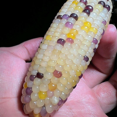 文玩玉米手把件七彩寶石把件多彩小寶石玉米把件盤玩迷你毛料種子