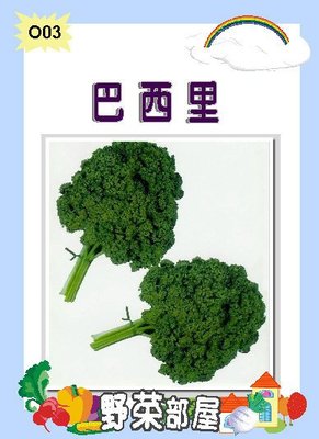 【野菜部屋~】O03 日本巴西里種子0.7公克 , 俗稱荷蘭芹 , 每包15元~