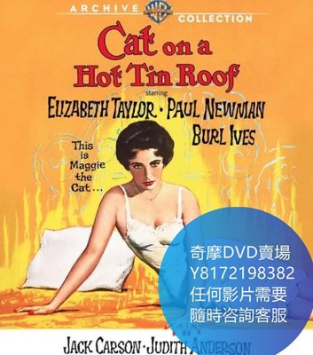 DVD 海量影片賣場 朱門巧婦/熱鐵皮屋頂上的貓  電影 1958年