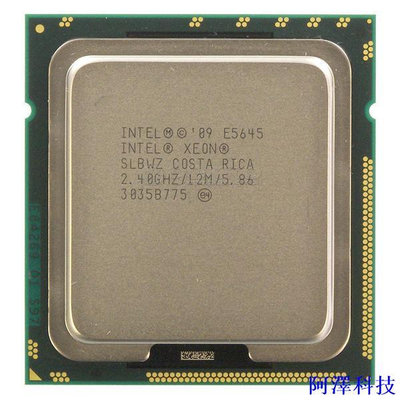 安東科技Intel Xeon 1366腳位12核CPU E5649 (X58專用洋垃圾)