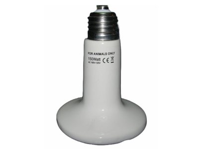 遠紅外線陶瓷加熱器 150W 不發光 歐洲CE安全性認證 生產成本高 效率高 防爆 品質保證 鸚鵡 幼鳥 保溫燈 取暖燈