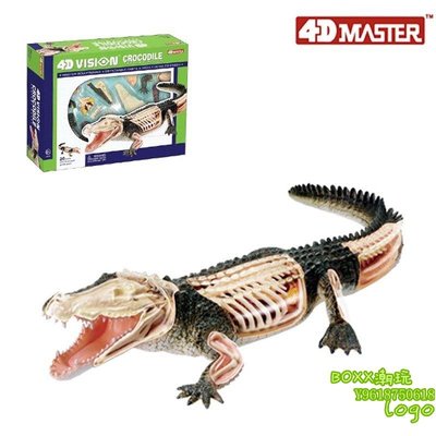 BOxx潮玩~4D MASTER 動物解剖拼裝模型 海洋生物教具 鱷魚26114