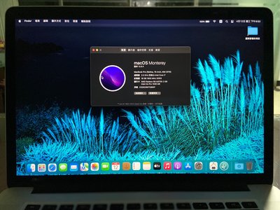 2015年 15.4吋 獨顯 Apple MacBook Pro