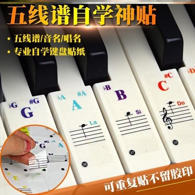 特賣-電子琴61鍵鍵盤貼鋼琴鍵盤貼紙按鍵貼透明貼膜37彩色61輔助88配件