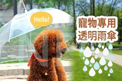 只能宅配【寵物專用透明雨傘】附鍊子 寵物雨傘 下雨天溜狗雨傘 溜狗傘 狗雨傘 貓雨傘 PVC寵物傘