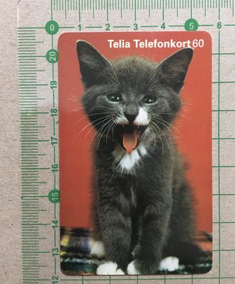 【卡庫】【動物】瑞典1997年，奶貓  KSE6086