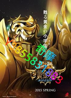 DVD 專賣店 聖鬥士星矢：黃金魂/聖闘士星矢 -黃金魂