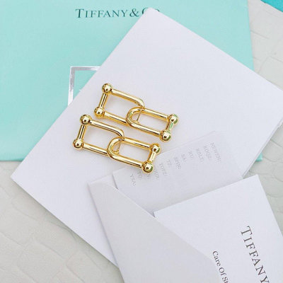 新店促銷 Tiffany&CO.蒂芙尼個性耳環耳飾時尚大方網紅同款