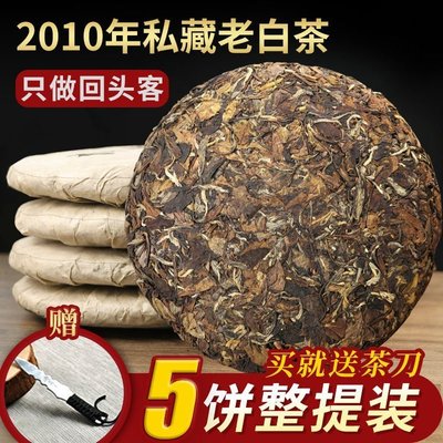 【白茶】2010年老白茶福鼎高山老牡丹餅藥香濃郁荒野茶葉茶葉  可開發票