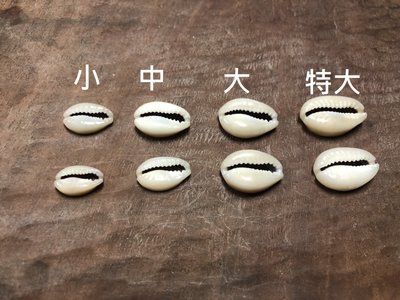 原住民貝殼材料-大號 / 貝殼切片 / diy材料 / 貝殼材料 / 手工藝材料/ 排灣族 / 魯凱族