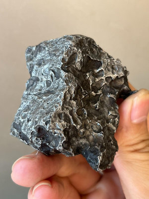 【店主收藏】Seymchan隨城橄欖隕石橄欖隕石石鐵隕石隕石-27550