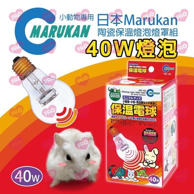 日本 Marukan 小動物專用保溫燈泡40W 保暖燈泡 40W 燈泡