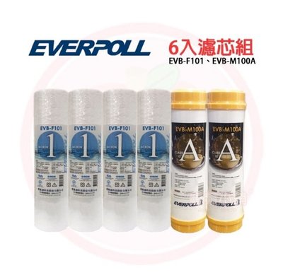 ❤頻頻小舖❤ EVERPOLL 愛科濾淨 6入 濾心組 EVB-F101 1微米 PP EVB-M100A 樹脂濾心