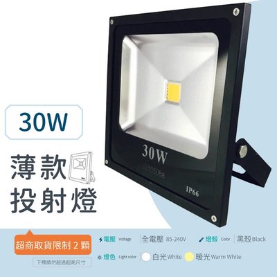 LED 投射燈 [薄款投射燈] 30W 全電壓 (白/暖) 集成晶芯 戶外燈 廣告燈 黑殼