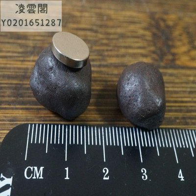 【奇石 隕石】3618號 新疆哈密地表磁鐵礦 隕石 兩顆 有磁性凌雲閣隕石