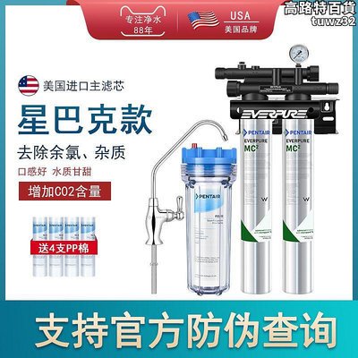 愛惠浦淨水器奶茶店直飲水商用大流量製冰機淨水機mc2雙聯超濾機