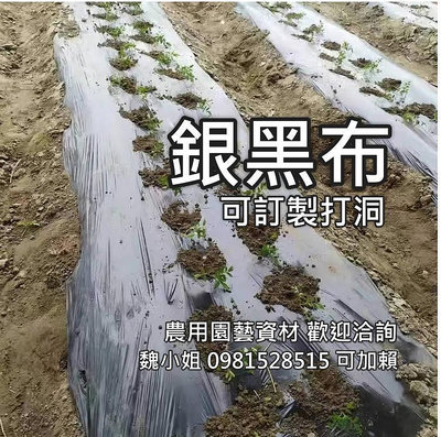 ⭕️銀黑布 草莓布 ⭕ 木瓜布 塑膠布台灣製造➡️可訂製打洞 農用膜（覆蓋布）👍PE新料製作 蔬菜 之家 番茄 溫室 農用園藝資材