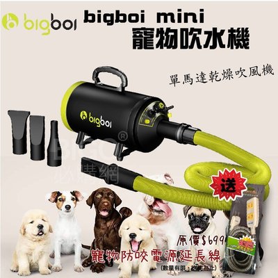 bigboi MINI 寵物單馬達吹風機 不鏽鋼 三孔 寵物吹水 吹風機 汽機車 家用 寵物美容