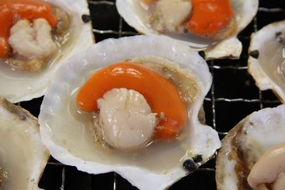 【冷凍貝類】來點新鮮的~扇貝(半殼)約11-13粒/約500g~新鮮的滋味~只有自己能體會~