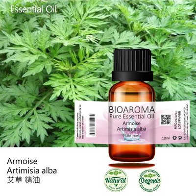 【芳香療網】艾草精油Armoise - Artimisia alba 100ml