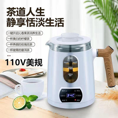 110v電熱水壺台灣日本家用迷你小型蒸汽煮茶器多功能花茶壺~摩仕小店