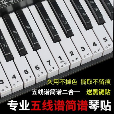 88鍵61鍵鍵通用 鍵盤貼透明電子琴鍵盤鋼琴五線譜X簡譜鍵位貼膜小家家樂