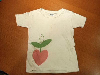 榮榮的二手童裝 - 男童 GILDAN 短袖 T恤 白色 - 3~4歲 110cm - 31元起標  B