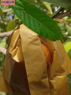 黃晶果套袋專用袋熱情果黃金百香果袋雞蛋果百味果蛋黃果水果保護~CICI隨心購