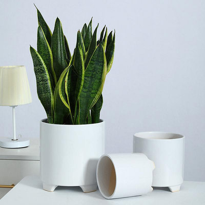 歐式陶瓷花盆高腳白色時尚花瓶簡約個性創意合適仙人掌虎皮蘭專用--三姨小屋