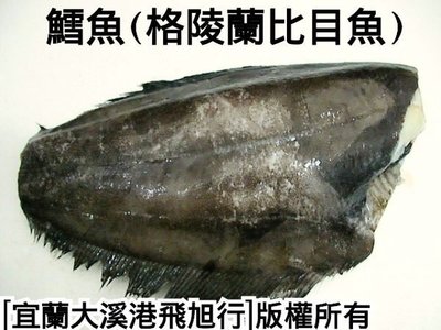 鱈魚(大比目魚)....3~4公斤魚體整尾每公斤500