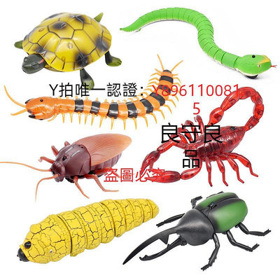 遙控玩具 遙控蜈蚣玩具仿真假蛇寶寶整蠱惡搞電動蟑螂小強爬行動物兒童模型