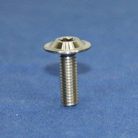 [屏東-晟信二輪] PROTI 鍛造鈦合金螺絲 M6L20-U01-T 適用:M6x20mm 車牌螺絲 R3前土除