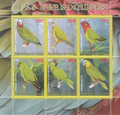 (C2049)剛果2007年 鸚鵡系列-費氏情侶鸚鵡 小全張郵票