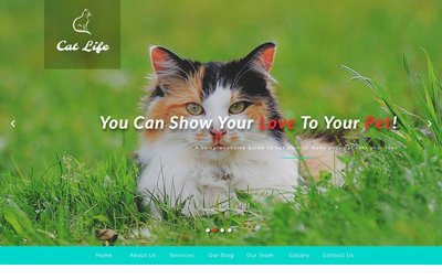 Cat Life Animals Category 響應式網頁模板、HTML5+CSS3、網頁特效  #92098