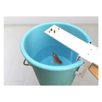 【NF474】翹翹板捕鼠器 新款 平衡式 蹺蹺板捕老鼠器 水桶 捕鼠籠 捕鼠籠 捕鼠夾 捕鼠器 環保捕鼠器 踏板式老鼠籠