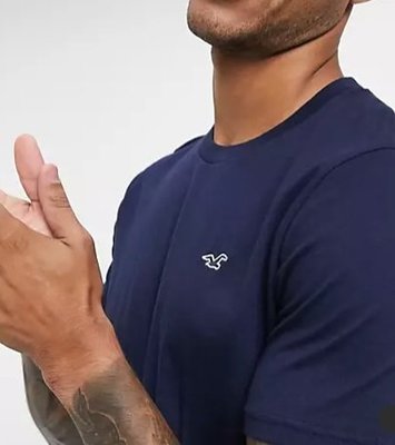 HCO Hollister 海鷗 短袖 T恤 素T 藍色 現貨