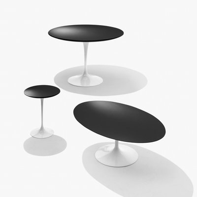 【台大復刻家具】 鬱金香 橢圓茶几 Saarinen Tulip Oval Coffee Table【鋁合金鑄造腳座】