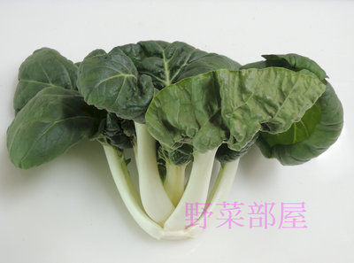 【野菜部屋~】F38 玉雪奶油白菜種子2.2公克 , 矮腳品種 , 肉厚 , 口感好 , 每包16元 ~