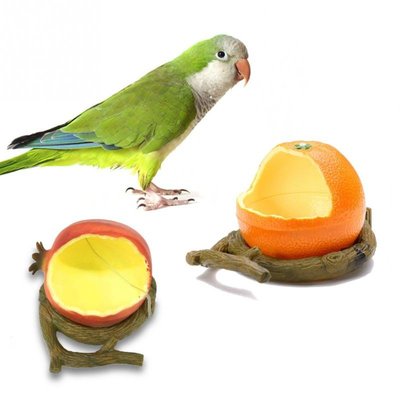 水果造型飼料盒/防灑鳥飼料盒