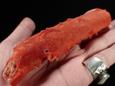 『保真』老玉市場-天然深海紅珊瑚倒枝珊瑚原礦(136.92g)/非便宜的海綿珊瑚喔(厚實，取材大)