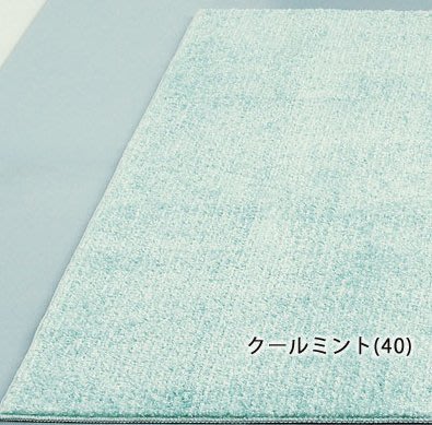【范登伯格】綠天然木糖醇吸濕涼感日本原裝進口地毯.出清價1700元含運-80x150cm