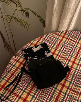 包郵韓國ins可愛兔子收納新款相機包相機黑色印花保護包
