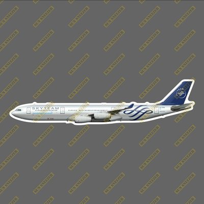 阿根廷航空 天合聯盟 A340 擬真民航機貼紙 防水 尺寸165MM